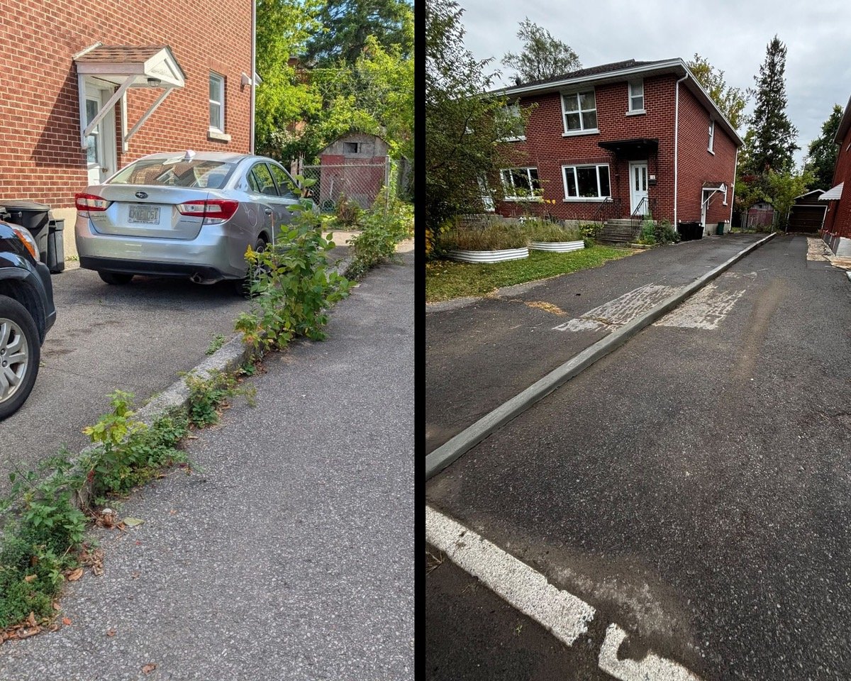 Restored concrete driveway divider