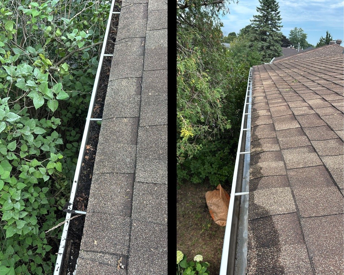 Gutter cleaning
